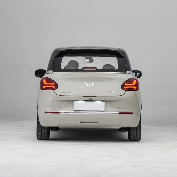 Small Electric Car